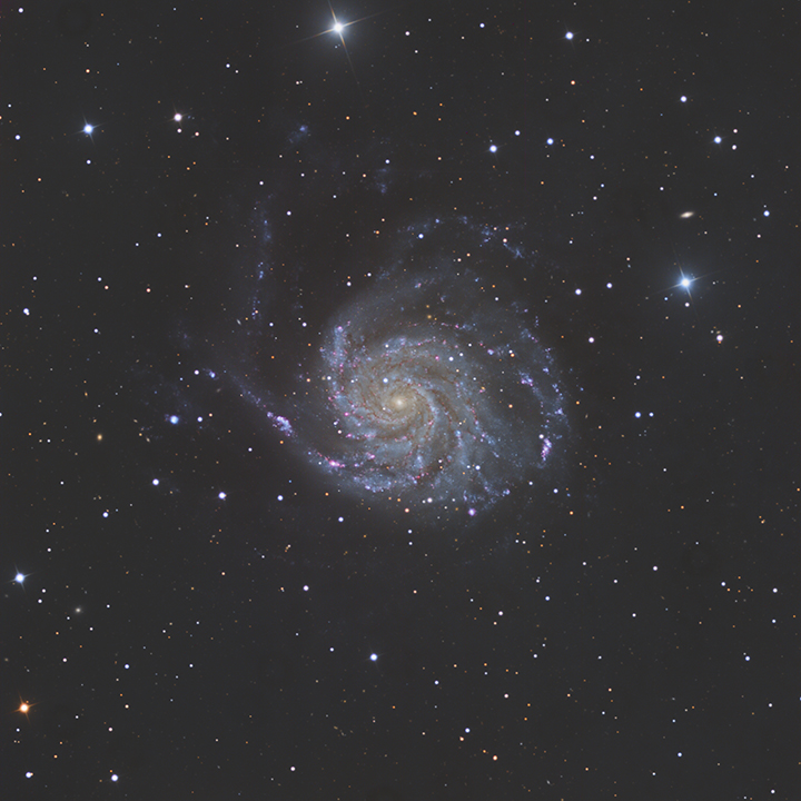 M 101